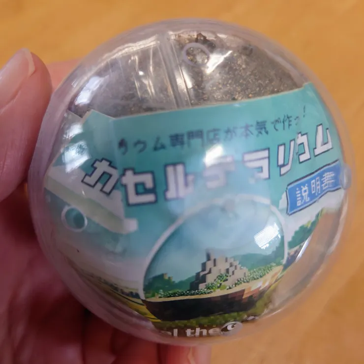 キャプション