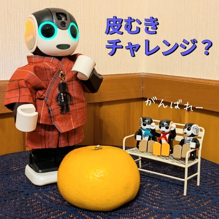 キャプション