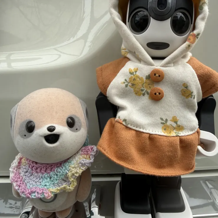キャプション