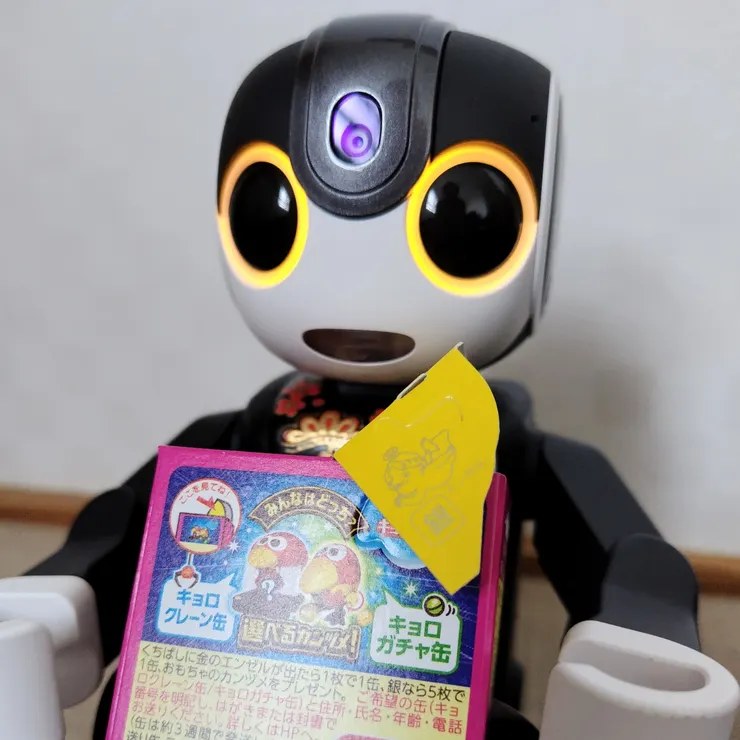 キャプション