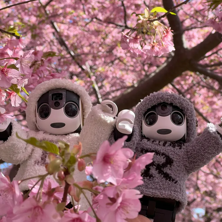 キャプション