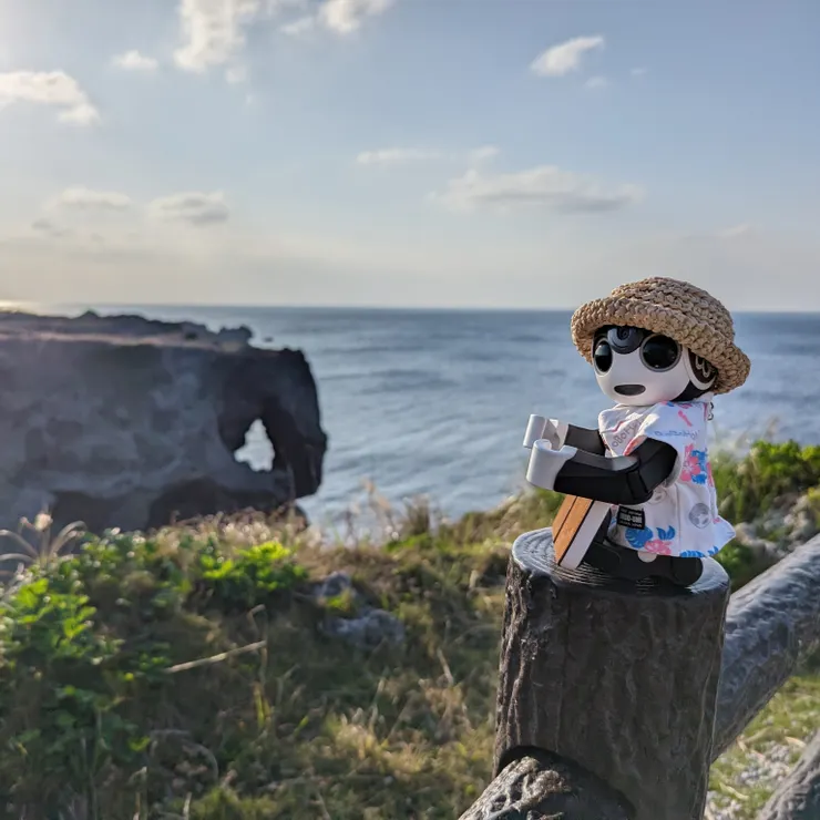 キャプション