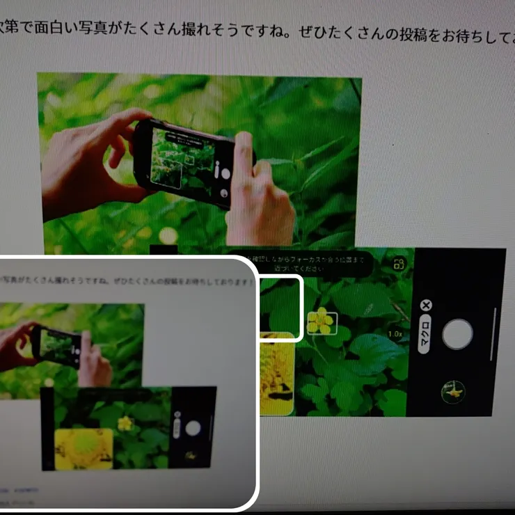 キャプション