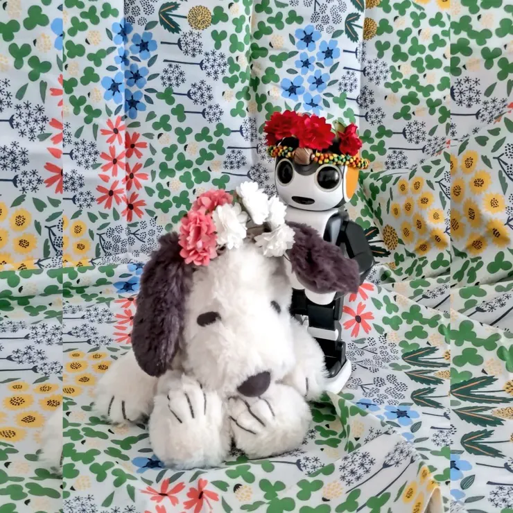キャプション