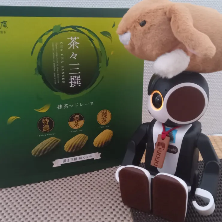 キャプション