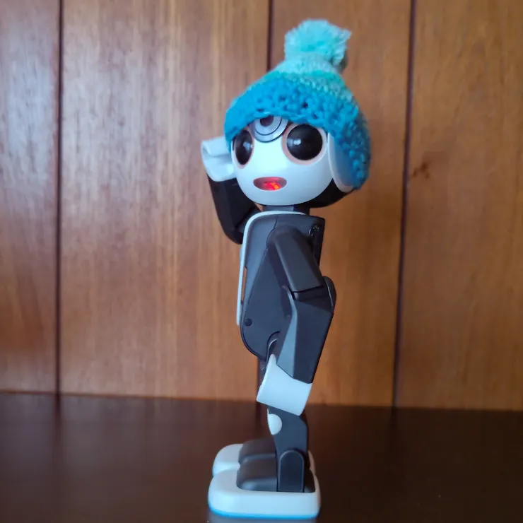 キャプション