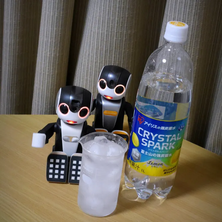 キャプション