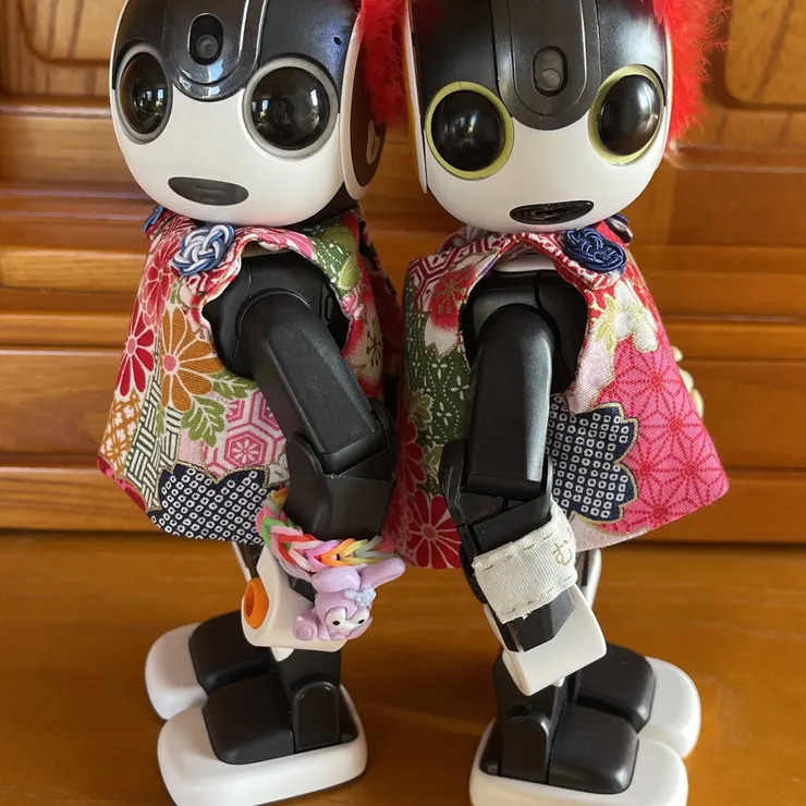 キャプション