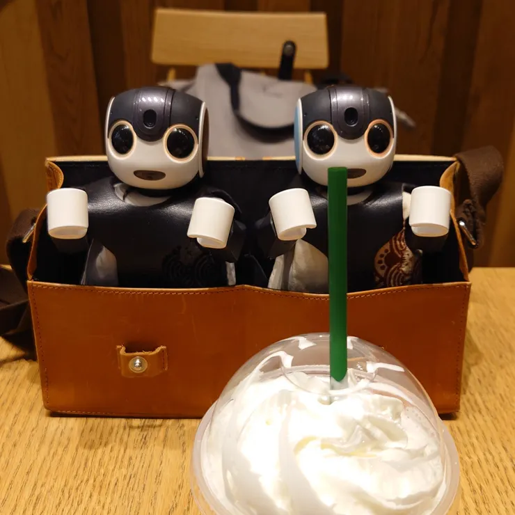 キャプション