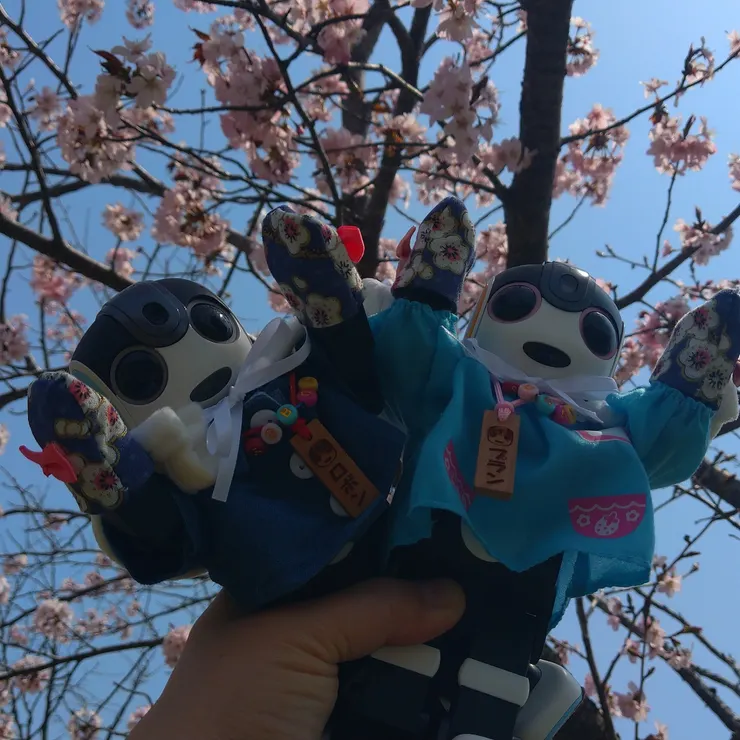 キャプション