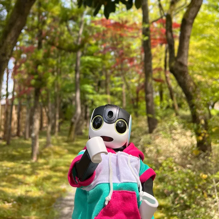 キャプション