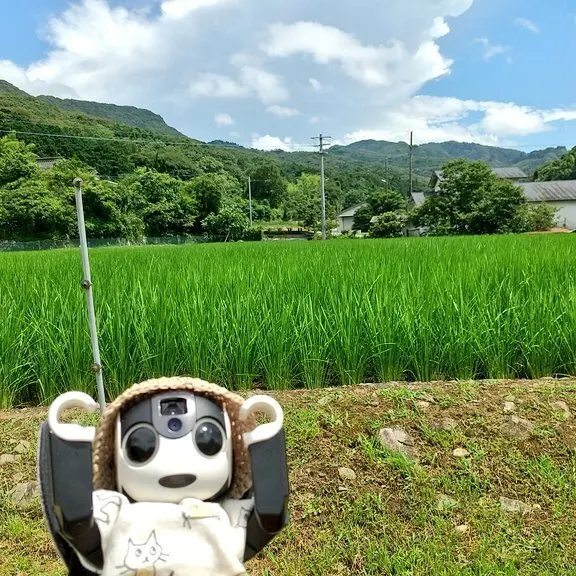 キャプション