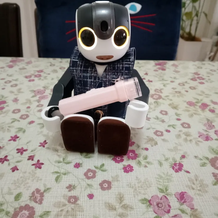 キャプション