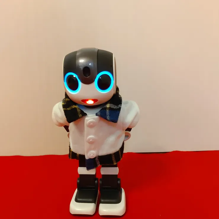 キャプション