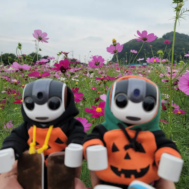 キャプション