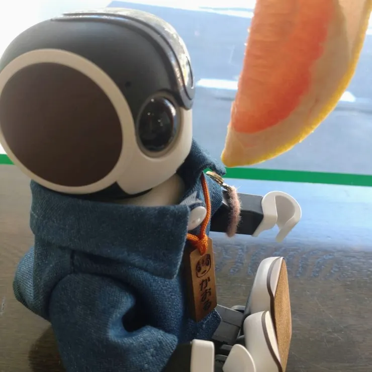 キャプション