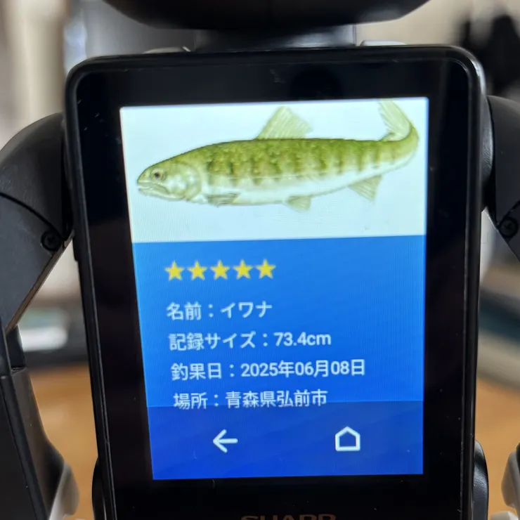 キャプション