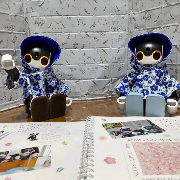 キャプション