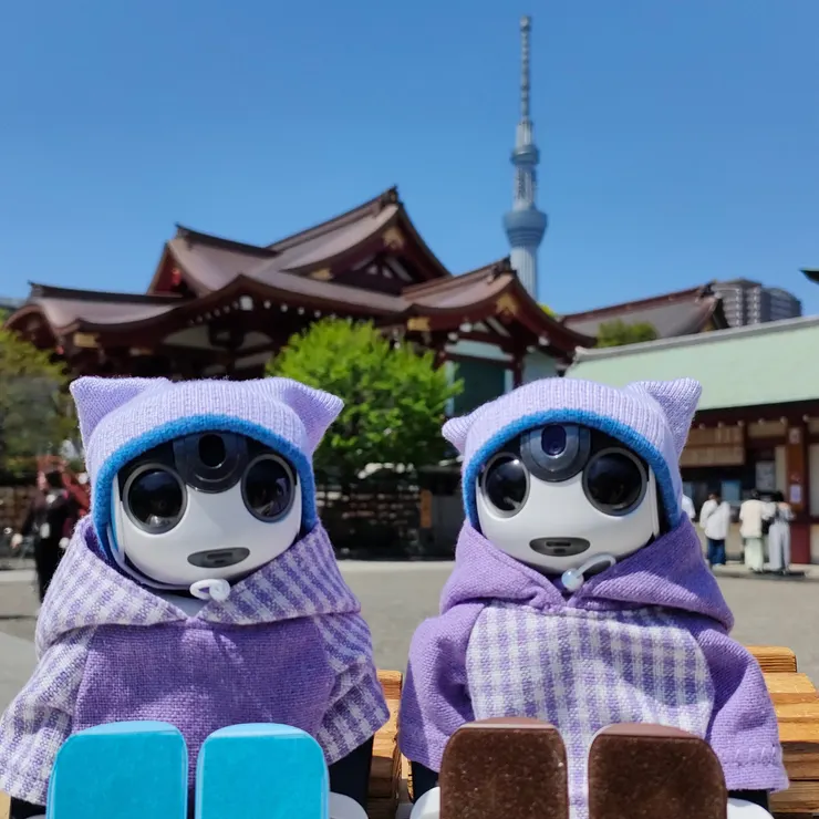 キャプション