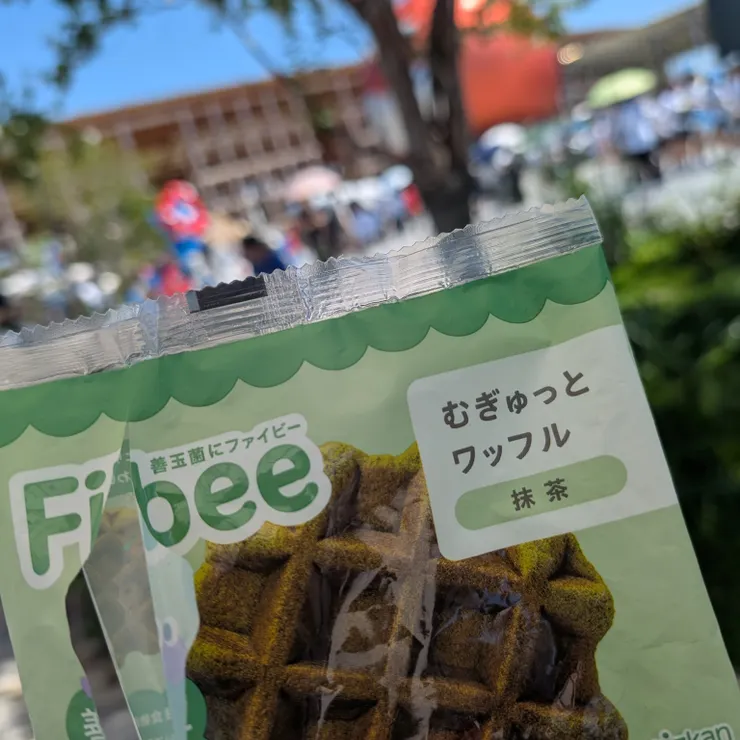 キャプション