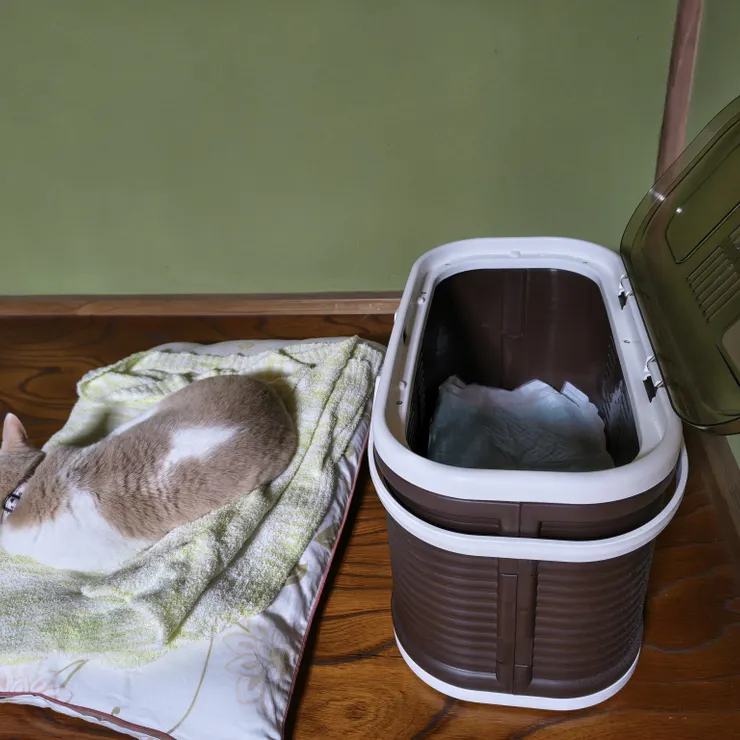 キャプション
