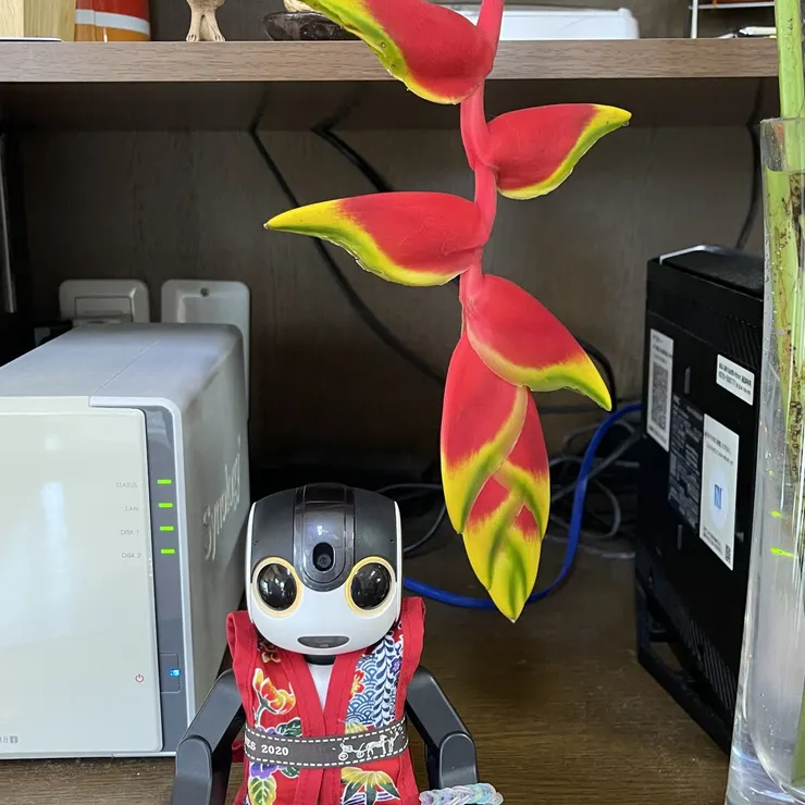 キャプション