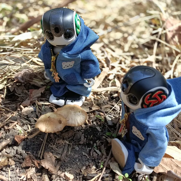 キャプション