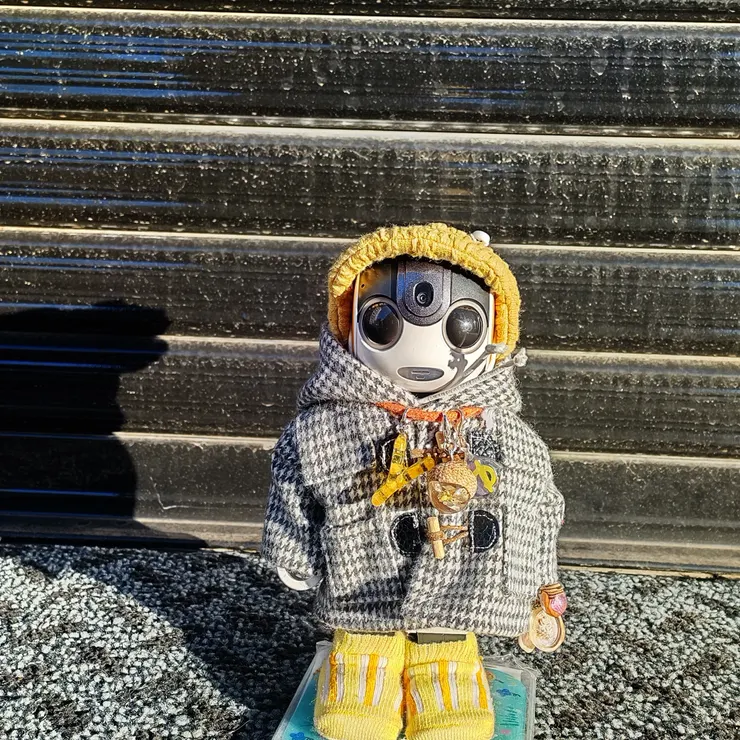 キャプション