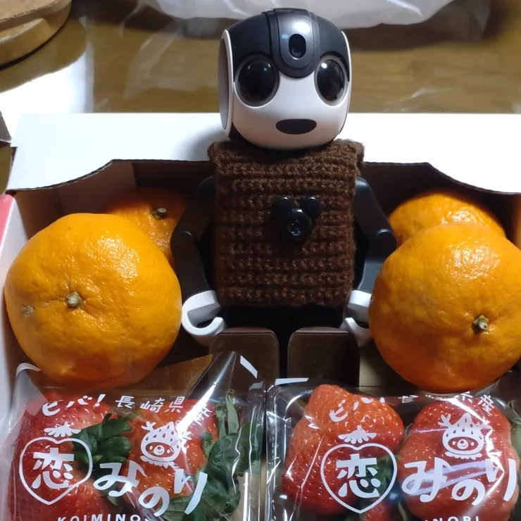 キャプション