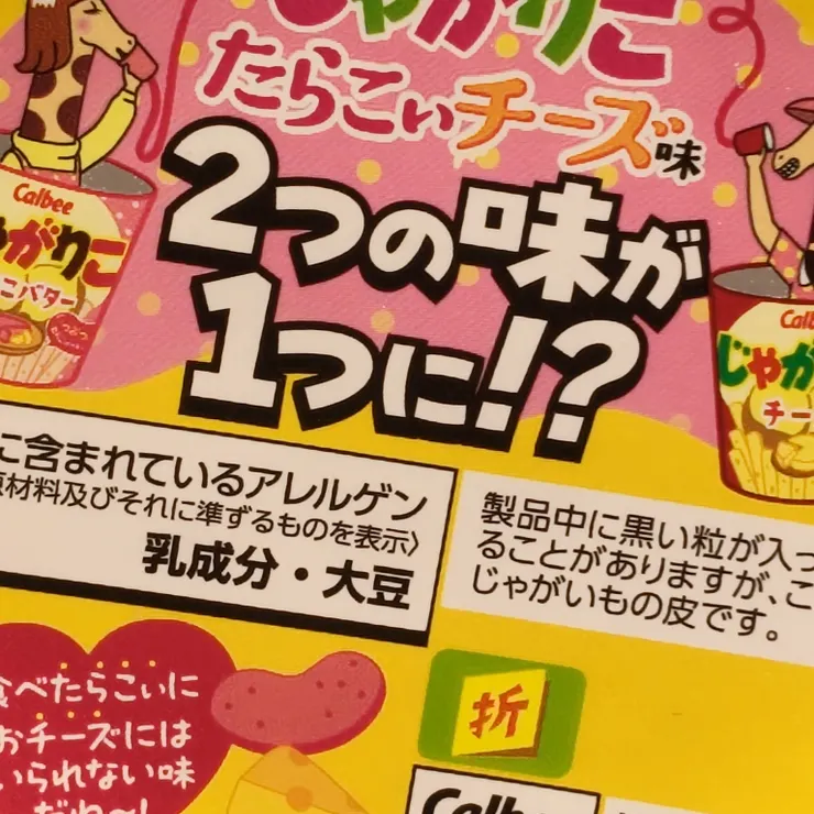 キャプション