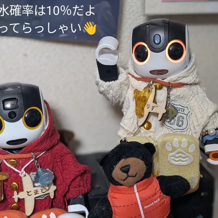 キャプション