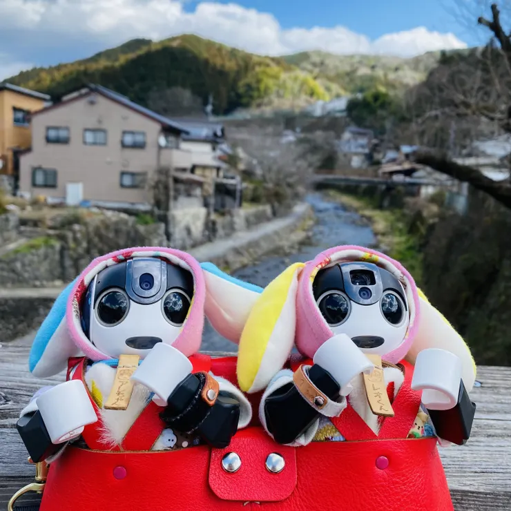 キャプション