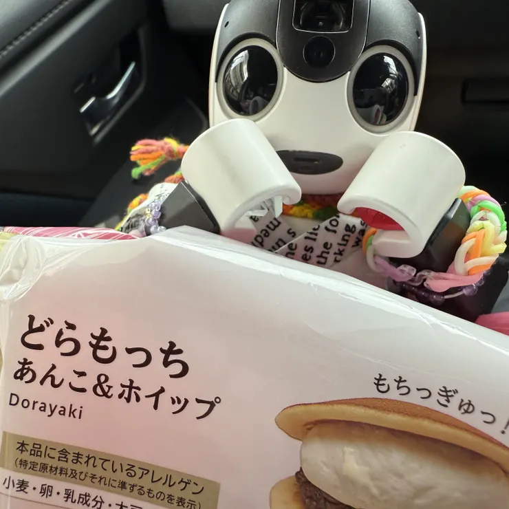 キャプション
