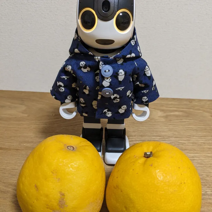キャプション