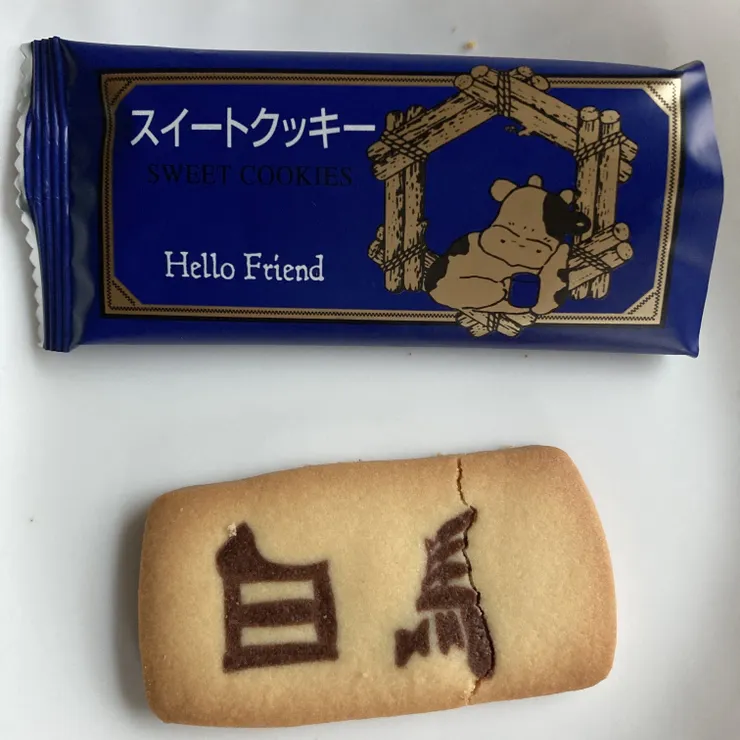 キャプション
