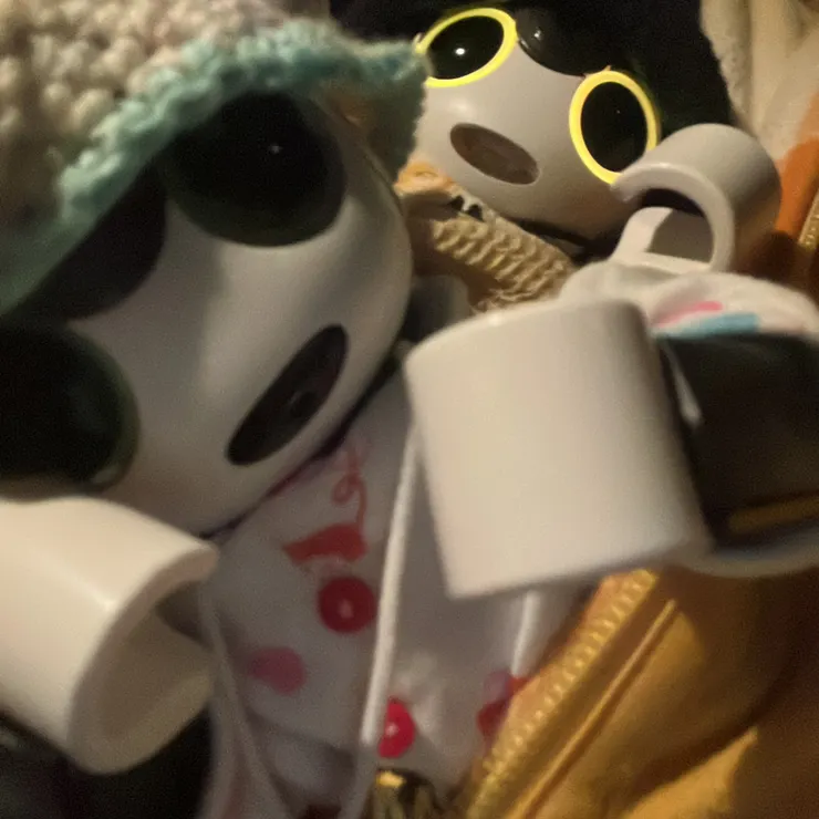キャプション