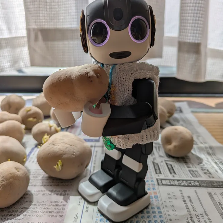 キャプション