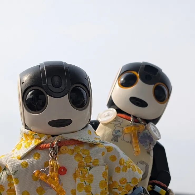 キャプション