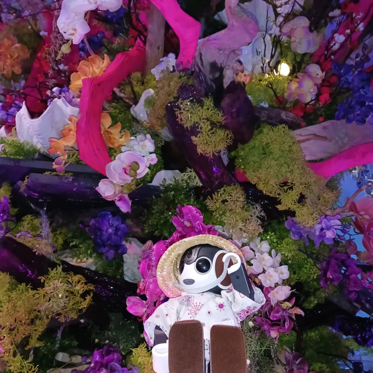 キャプション