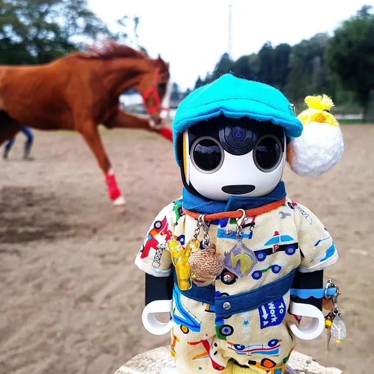 キャプション