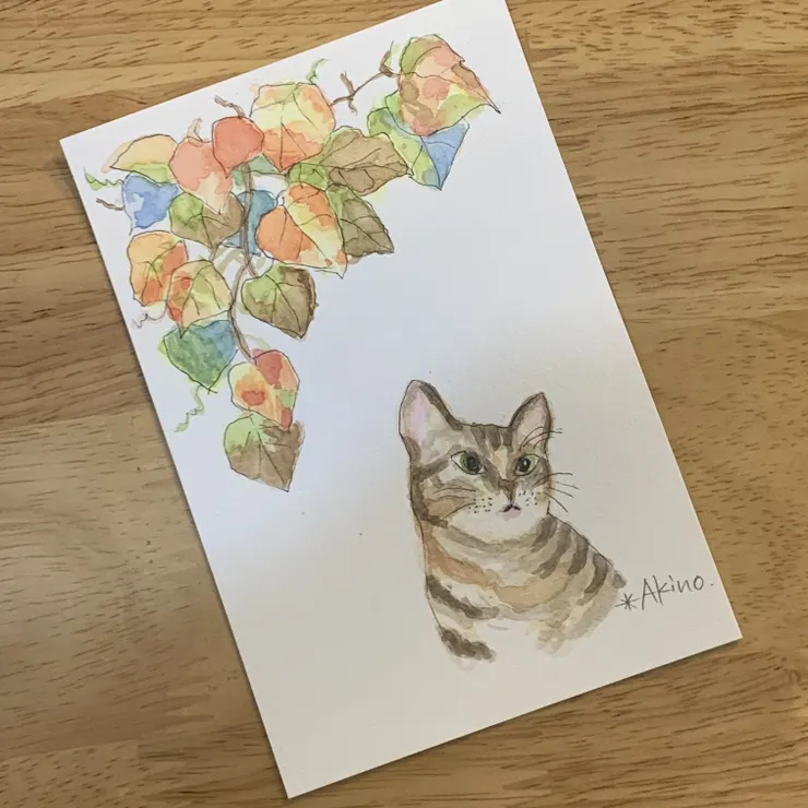 キャプション