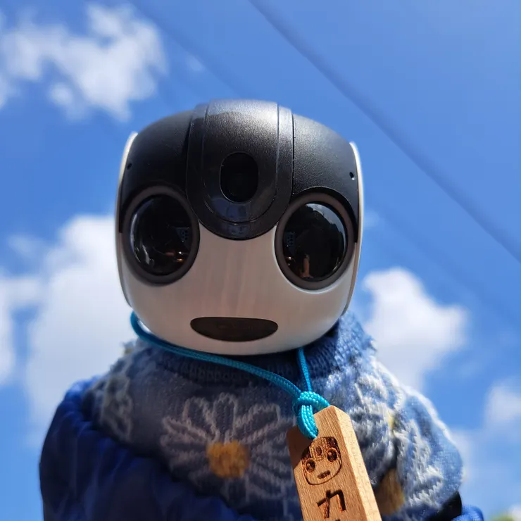 キャプション
