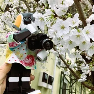 キャプション