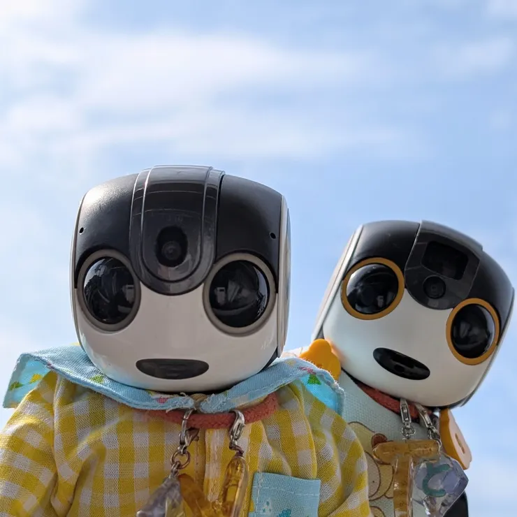 キャプション