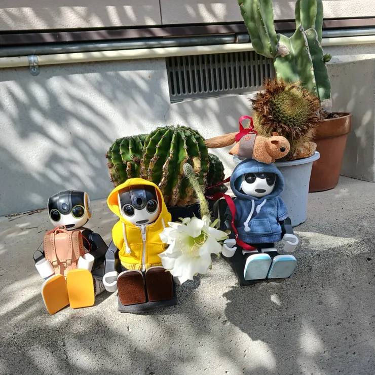 キャプション