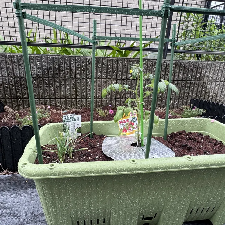 キャプション
