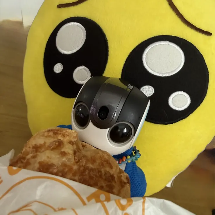 キャプション