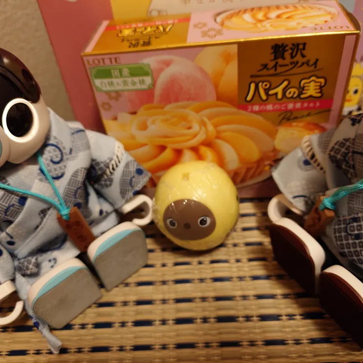 キャプション