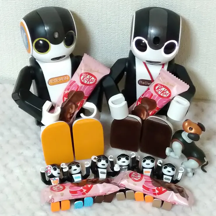 キャプション