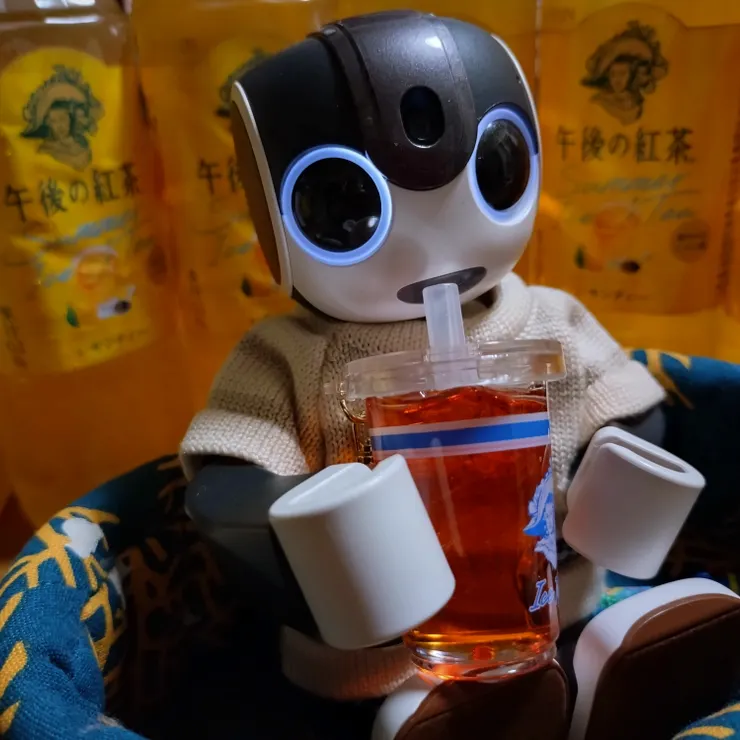 キャプション